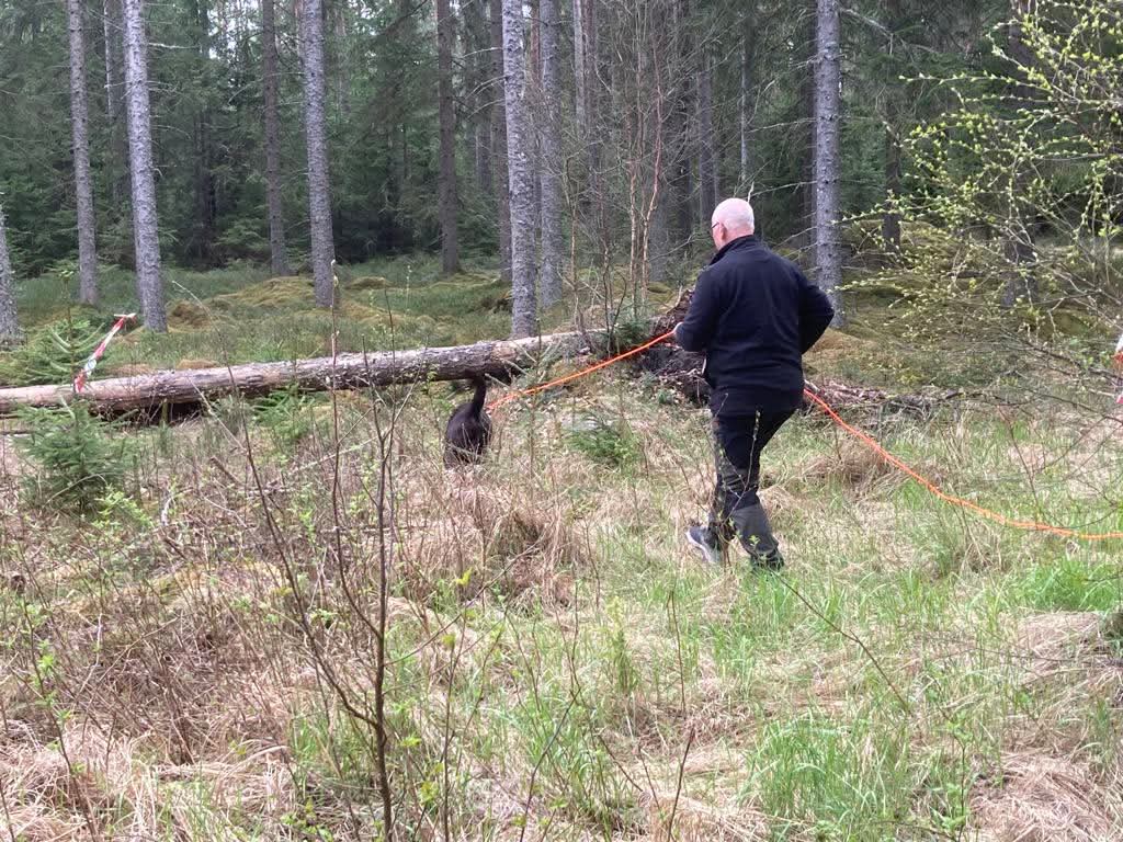 Nu ska vi se!